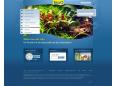 Internetagentur kernpunkt GmbH realisiert nutzerzentrierte Website für Tetra