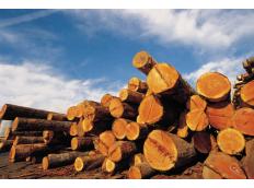 ProHolz - Software für die Holzindustrie